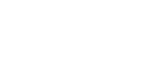 Sur Imagen